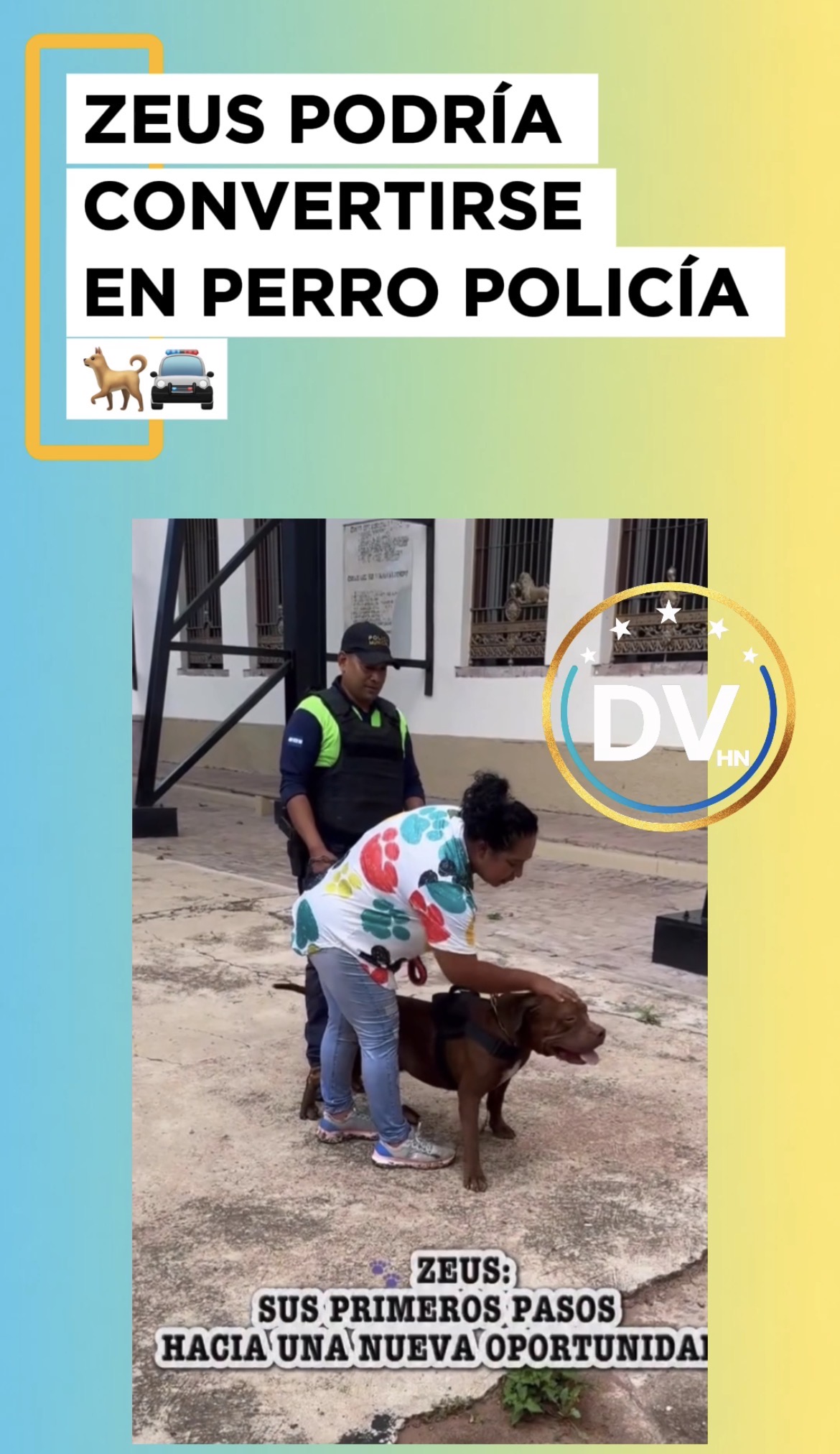 Zeus podría integrarse al Escuadrón Canino de la Policía Municipal